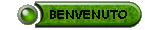 Benvenuto su www.ferracin.net !